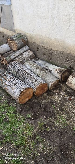 Продавам орехови трупчета / метровки