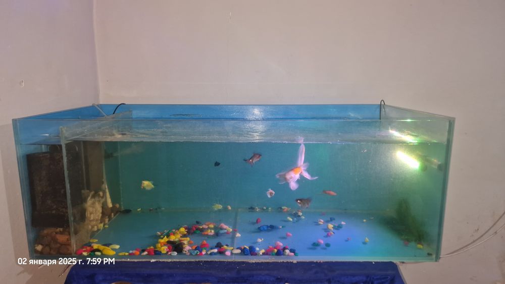 Аквариум сатылады