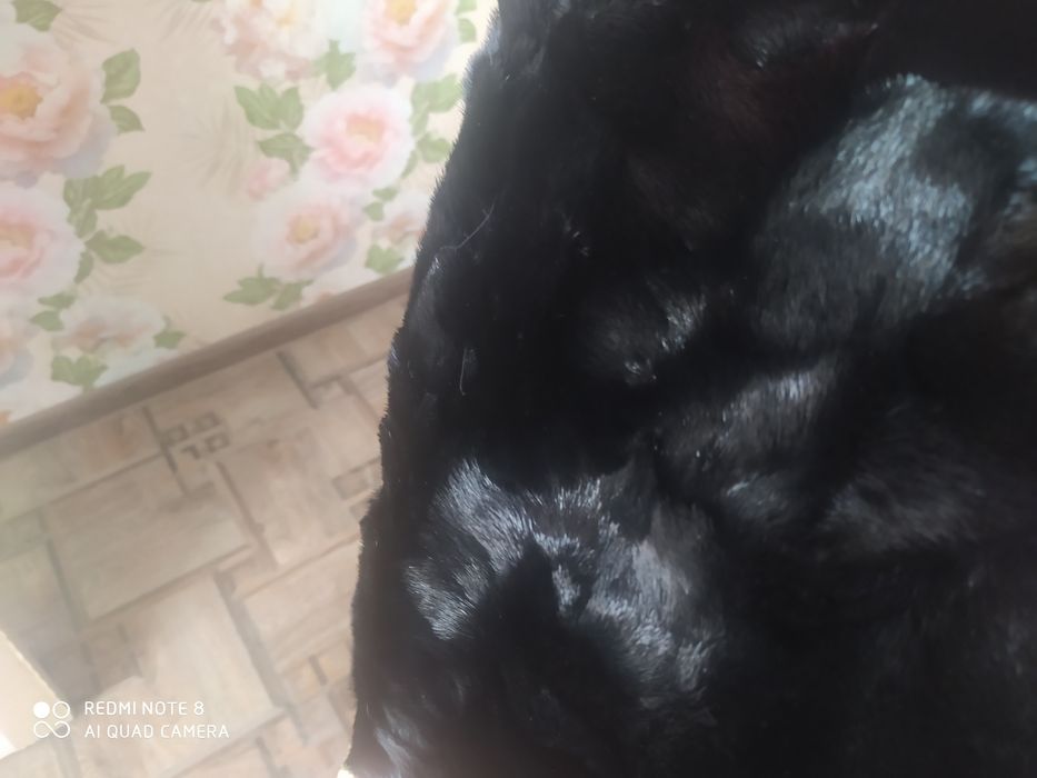 ! Норковая шуба !