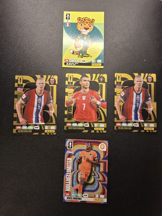 Vand Cartonase Panini World Cup 2026