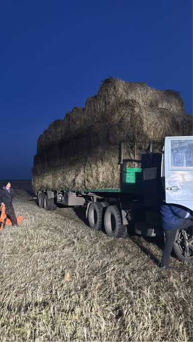 Продам сено луговое в рулонах