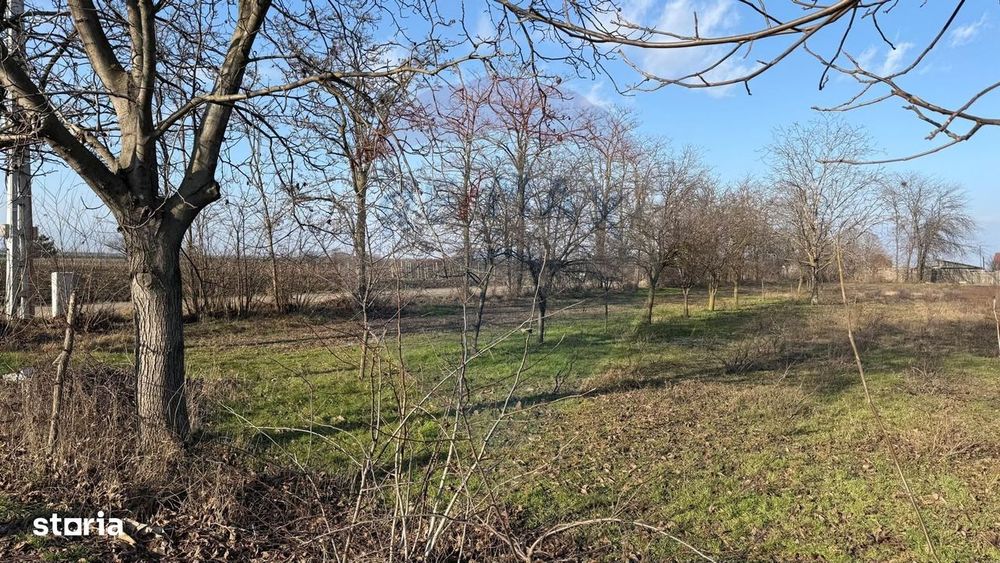Teren 2,300mp Petresti / Strada Lacramioarei