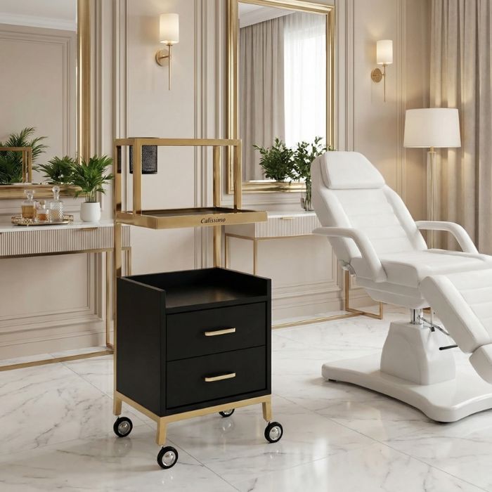 Ucenic/Asistent cosmetic pentru salon, suport pentru echipamente cosmetice, dulap universal, cărucior, masă cu roți.