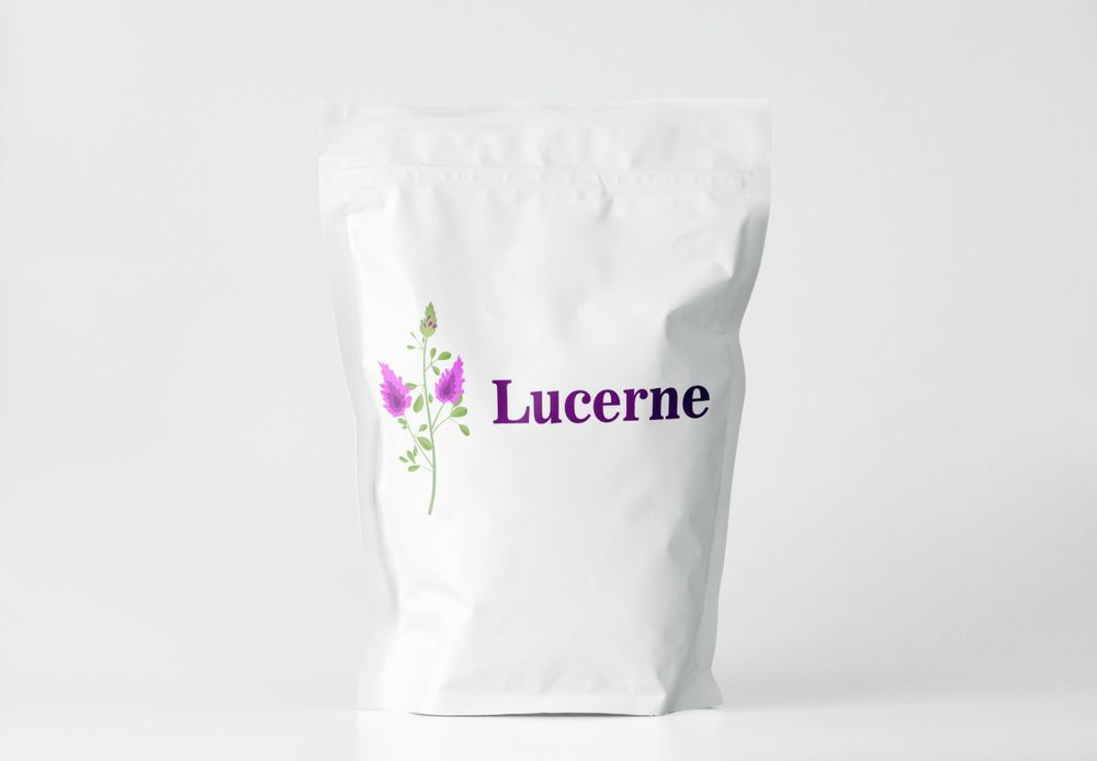 Семена люцерна СЕМИРЕЧНЫЙ сорт. Магниченный