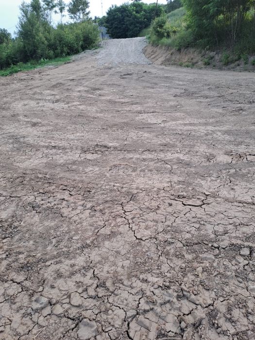 Teren 2000 mp de vânzare în Sănduleni, Bacău | Deschidere 40m | Utilități