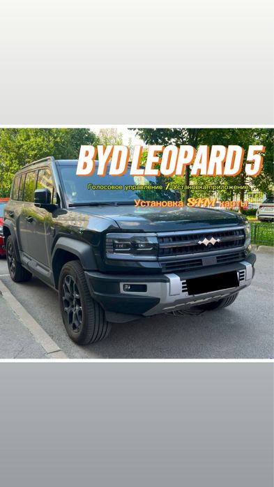 Мастер Русификация BYD LEOPARD