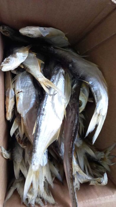 продается сушеные чехня