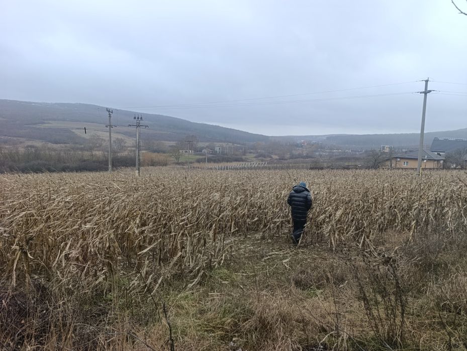 Vad teren la intrare in comuna schitul duca