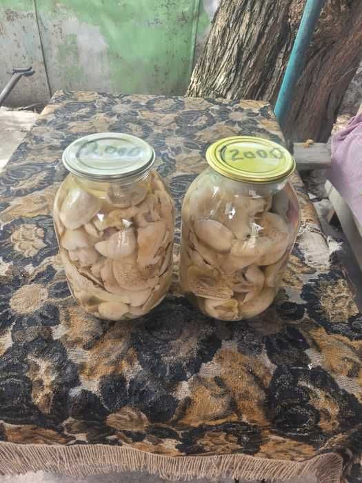 Грибы,маринованные,Синеножка