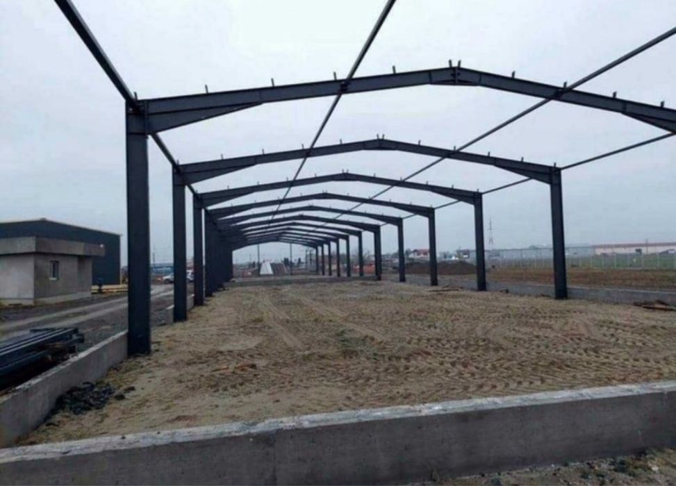Vand hala metalica structura 10x20