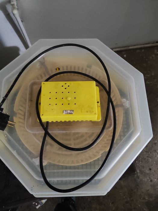 Vand incubator cleo5