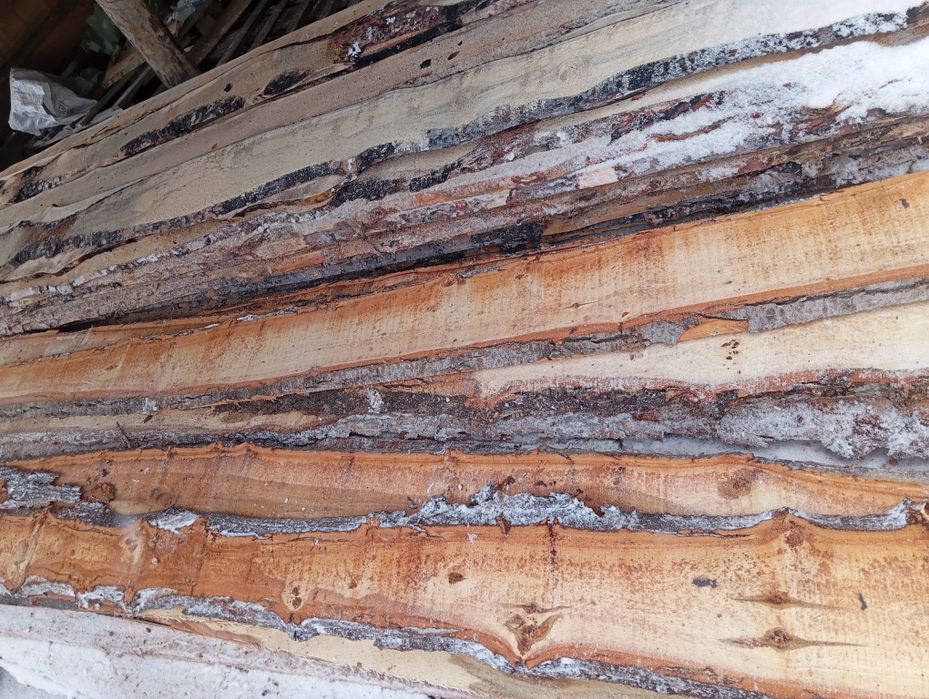 Тес продам широкий