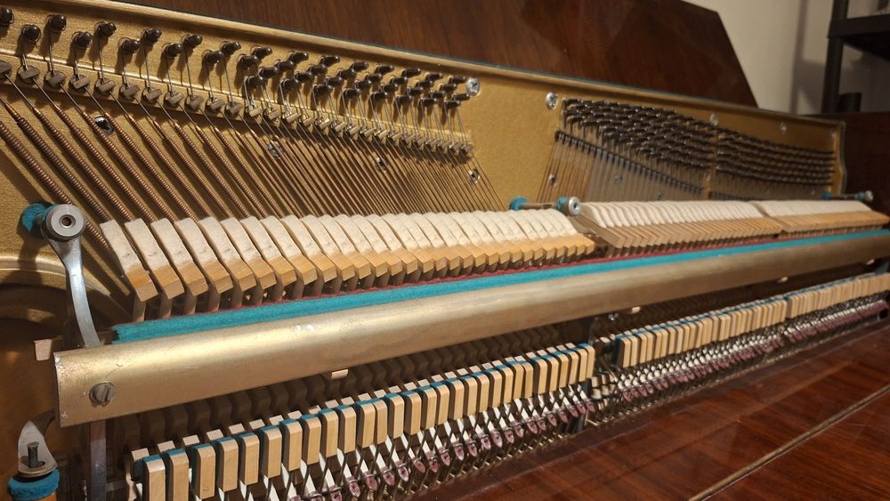 Pianina Doina Koncert