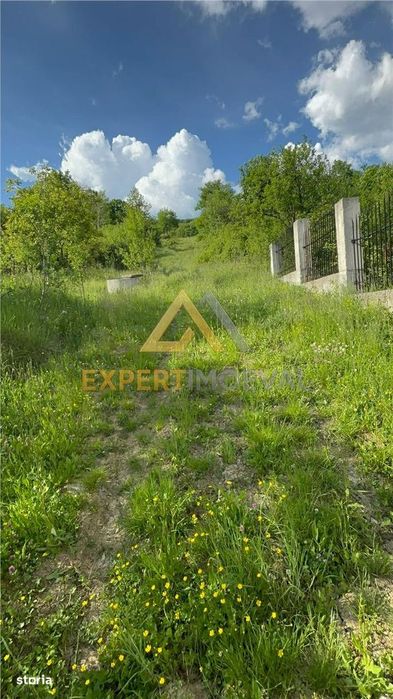 Teren intravilan Baia Sprie 815 mp