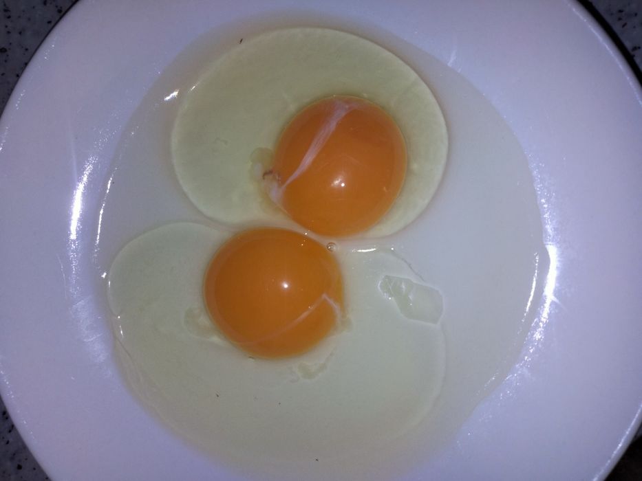 Яйцо домашнее. Колдын жумырткасы