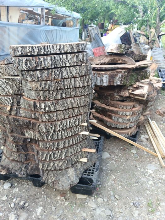 Nuc uscat rondele blaturi scânduri capace