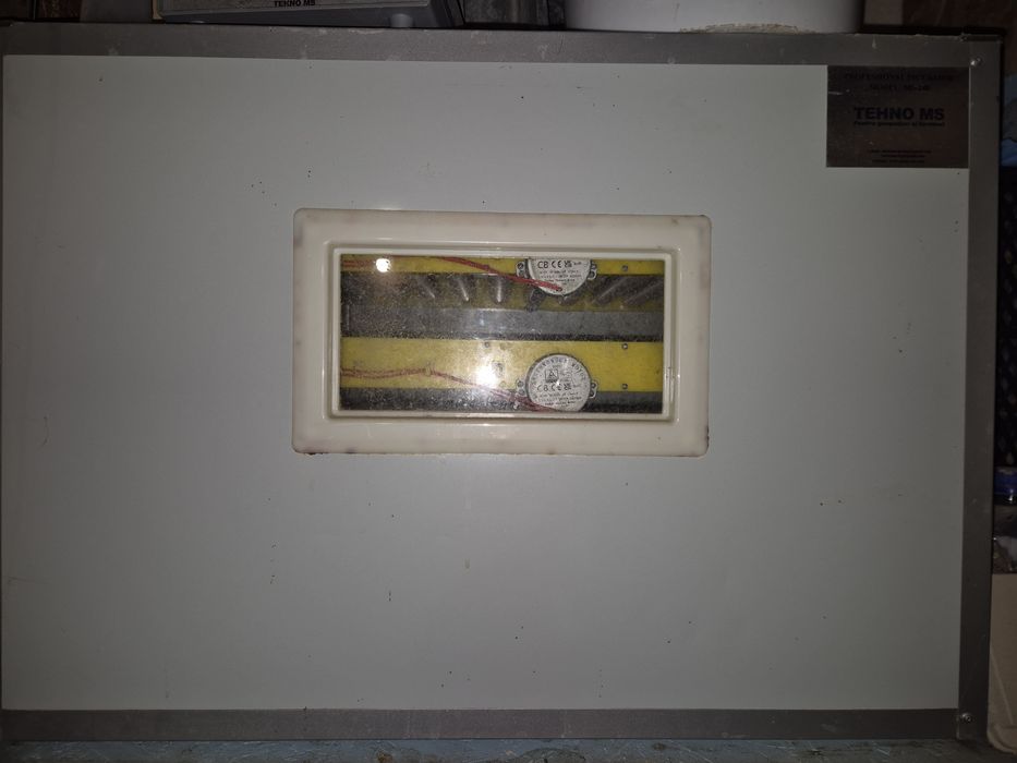 Incubator prepelite gaini