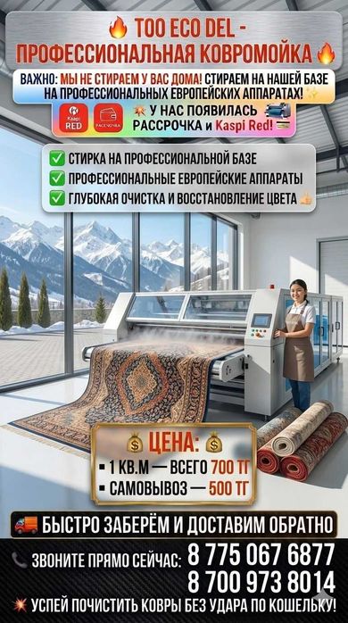 Удалим пятна и запахи с ковра