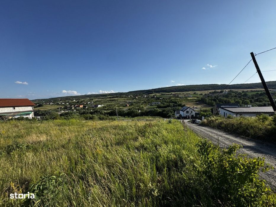 Teren in Chinteni, Muntii Oasului, 1000 mp, front de 36 ml