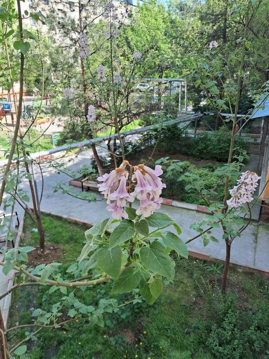 Своя Квартира на Карасу-1 (Рублёвка)  2(3)/2/4. Отличное расположение!