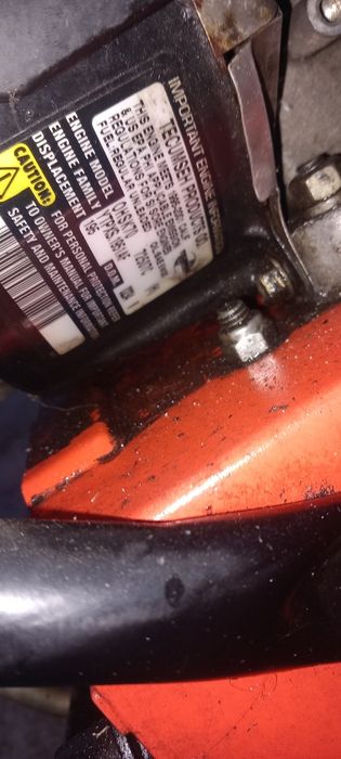 Снегорин  Ариенс