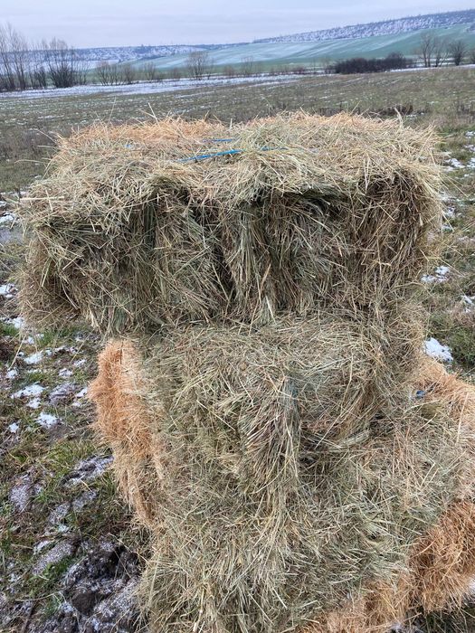 Vand Baloti de fan 18 bucata