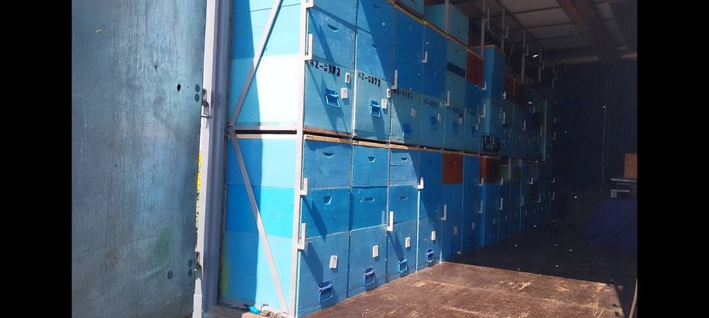 Camion apicol Mercedes