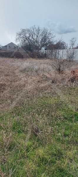 Парцел Бенковски  43435