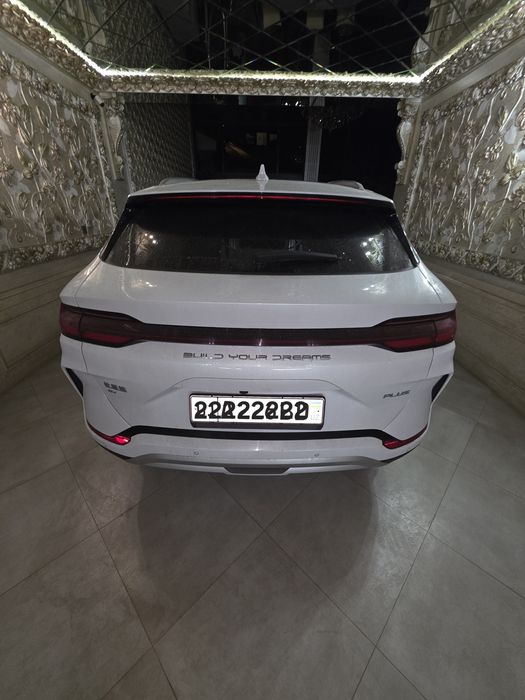 BYD  чемпион  2024  йил