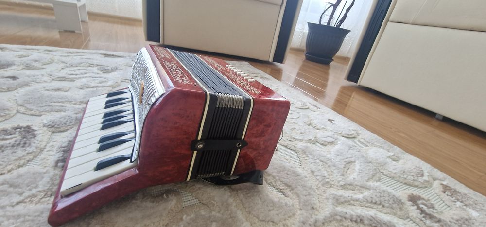 Vand acordeon mic copii/adulti