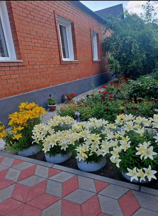 Продам дом в с Мичуринское