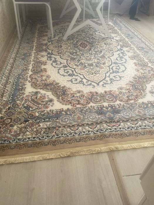 Клем, отличном виде  без пятон