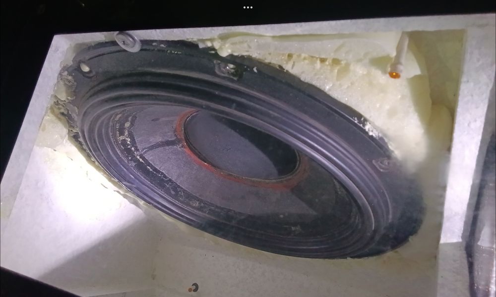 Самбуфер Алпине 12