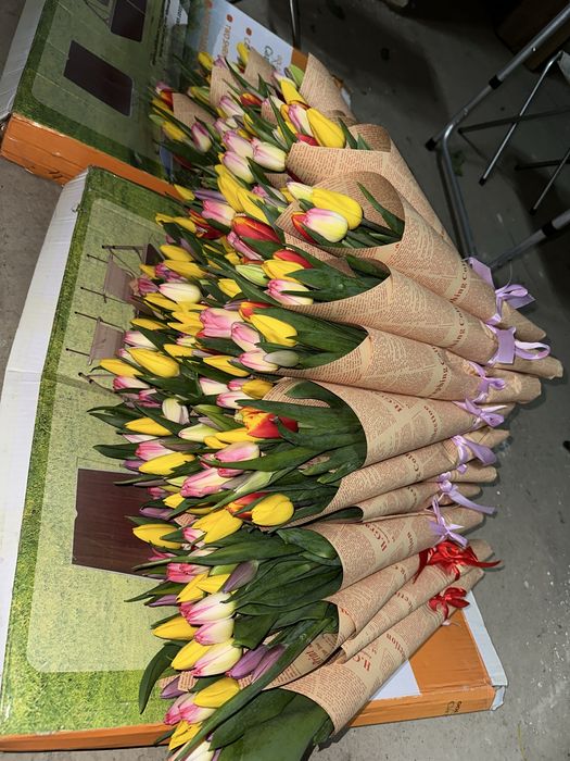 Корпоратив тюльпаны в Алматы — 600 тг