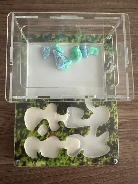 Готовая муравьиная ферма