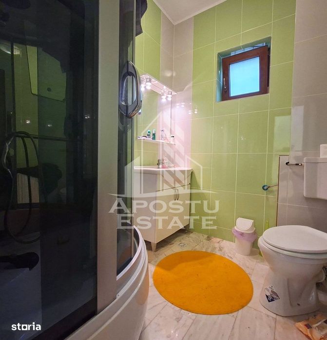Casa Vladimirescu 5 camere 180 mp utili D.P.M