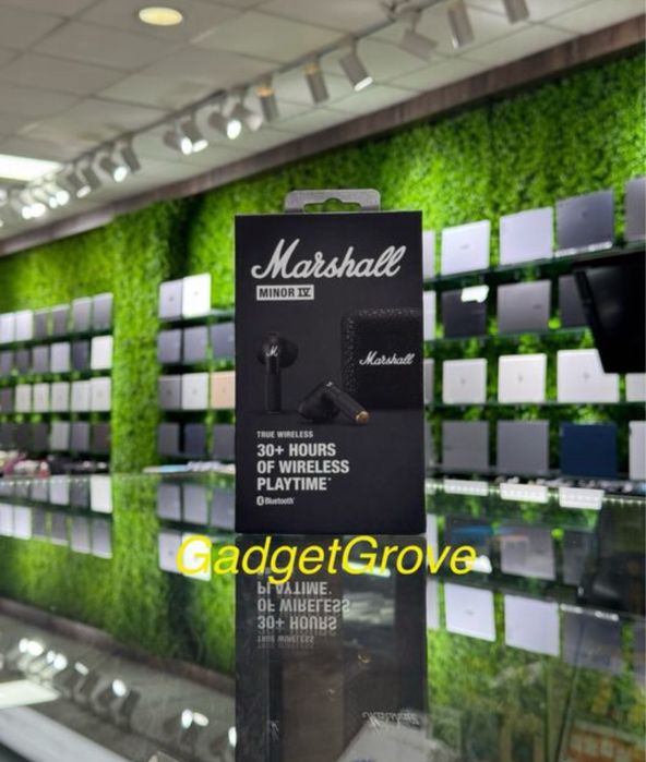 Marshall Minor 4 new