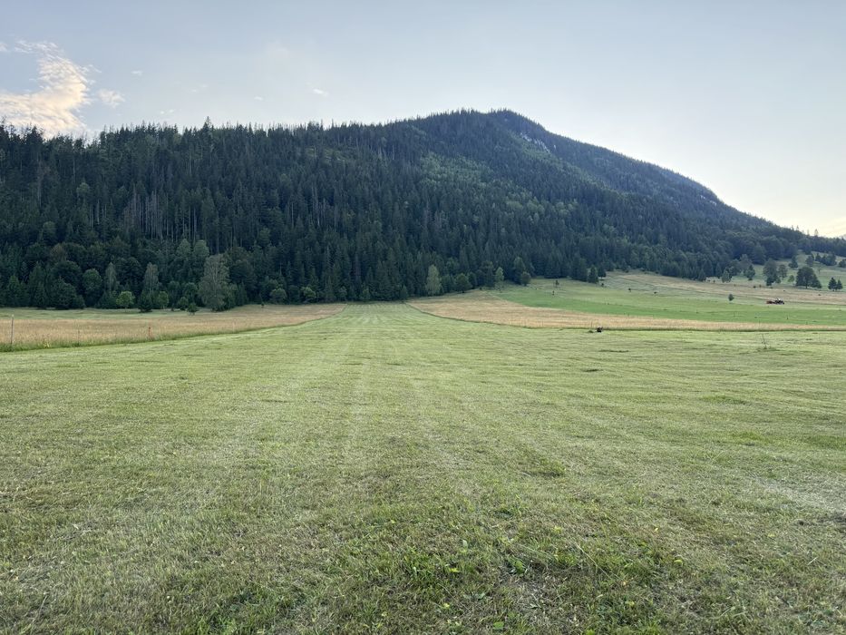 Teren de vânzare - Trei Fântâni