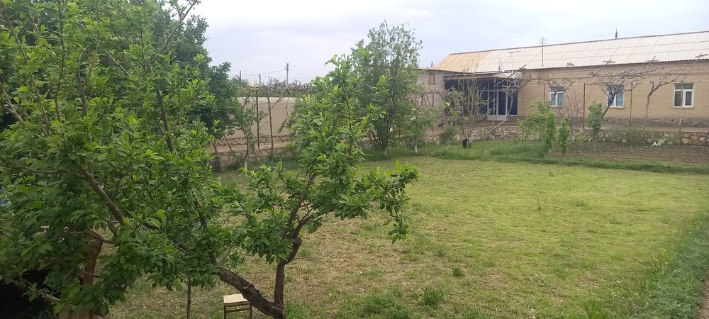 Тайёр ховли жой сотилади 12 сотих