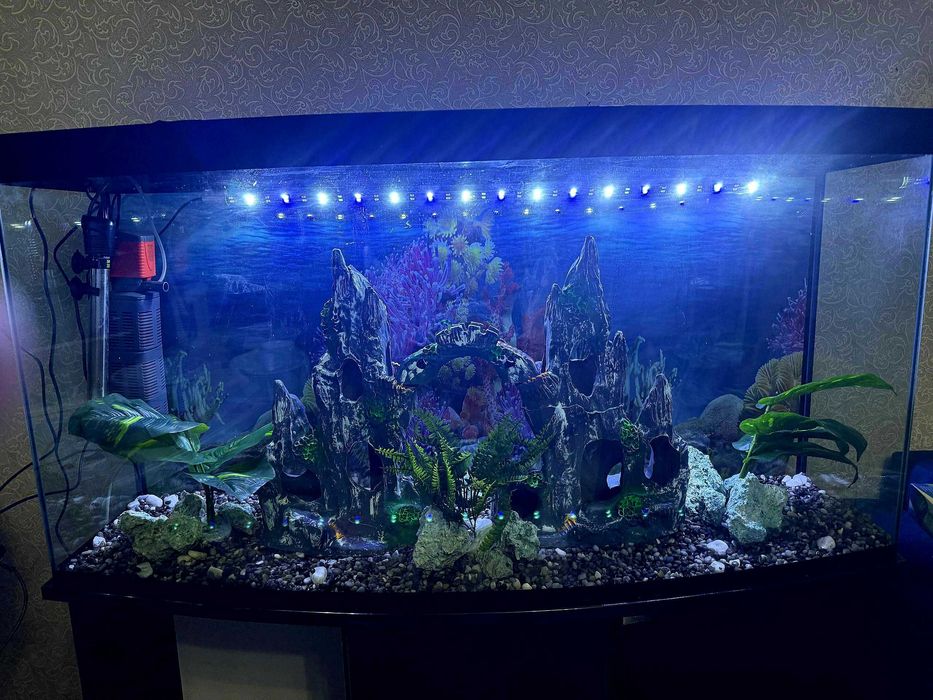 Продаётся аквариум 250 литров