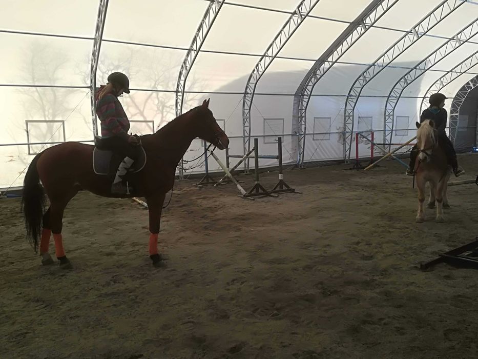 Cort pentru animale,calarit,manej,oi,vaci