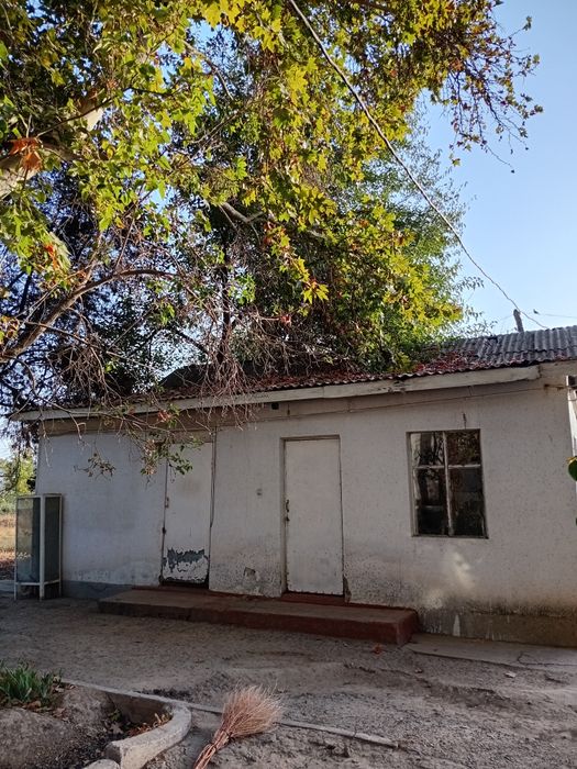 Klinika sotiladi 240.9 sotix umumiy maydon