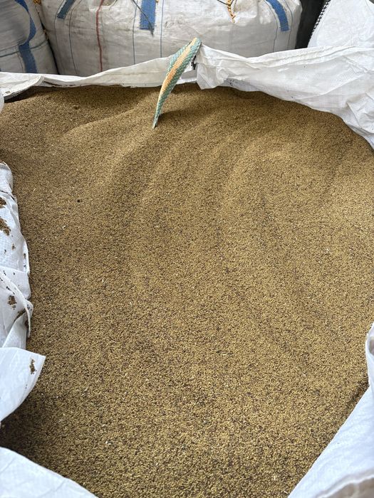 Vand 5000kg samanța de lucerna, calitate top, pret negociabil