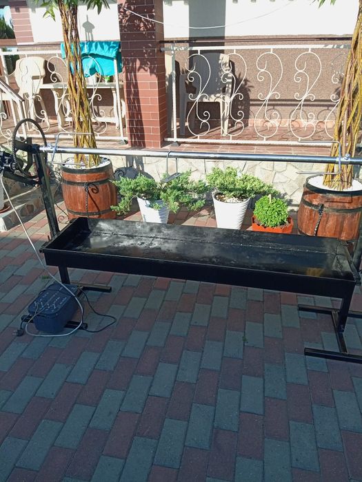 Rotisor proțap electric