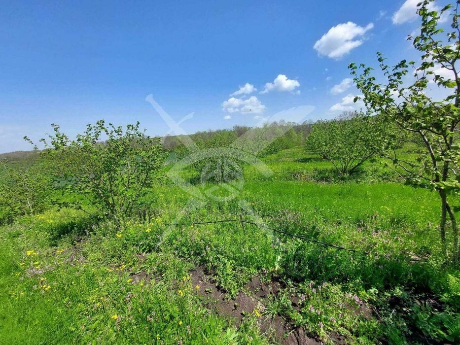 Парцел - с. Драчево