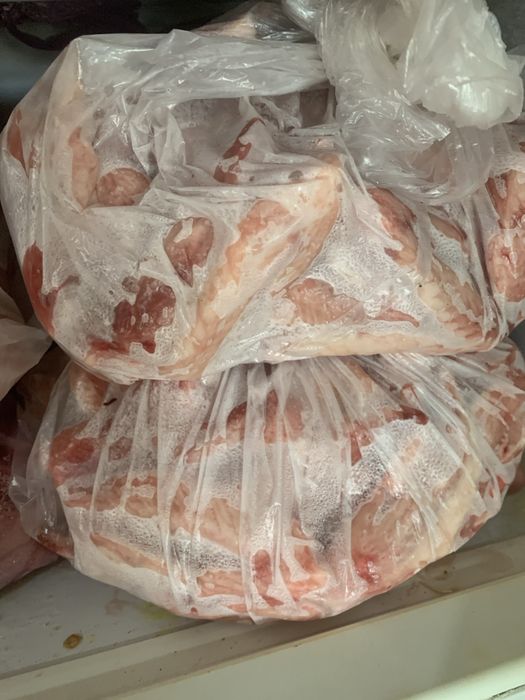 Корм для собак и кошек