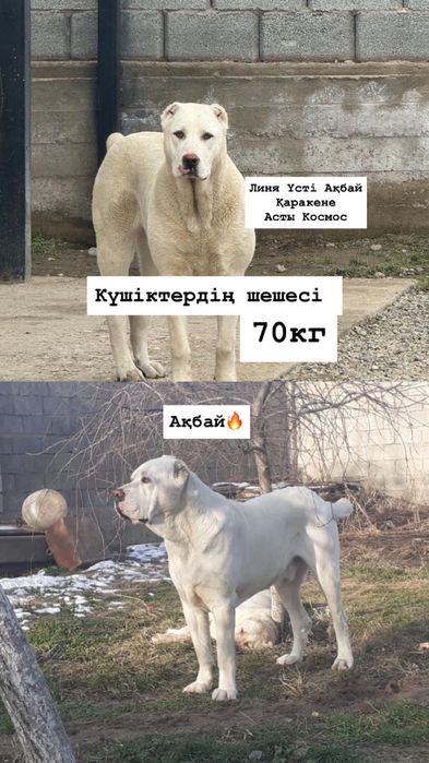 Ең жақсы атқыштар порносын онлайн көріңіз