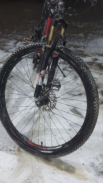 Велик  очень хорощи