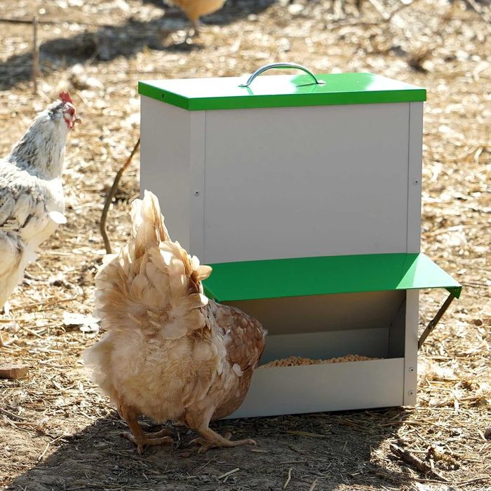 Автоматична хранилка за птици, 11 кг храна, метална с капак