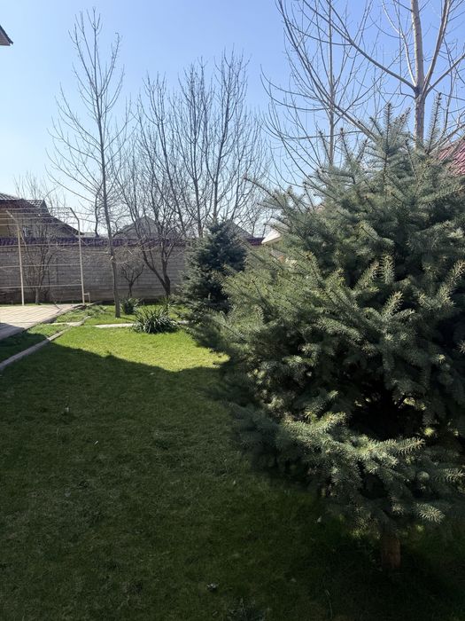 Газон газон газон